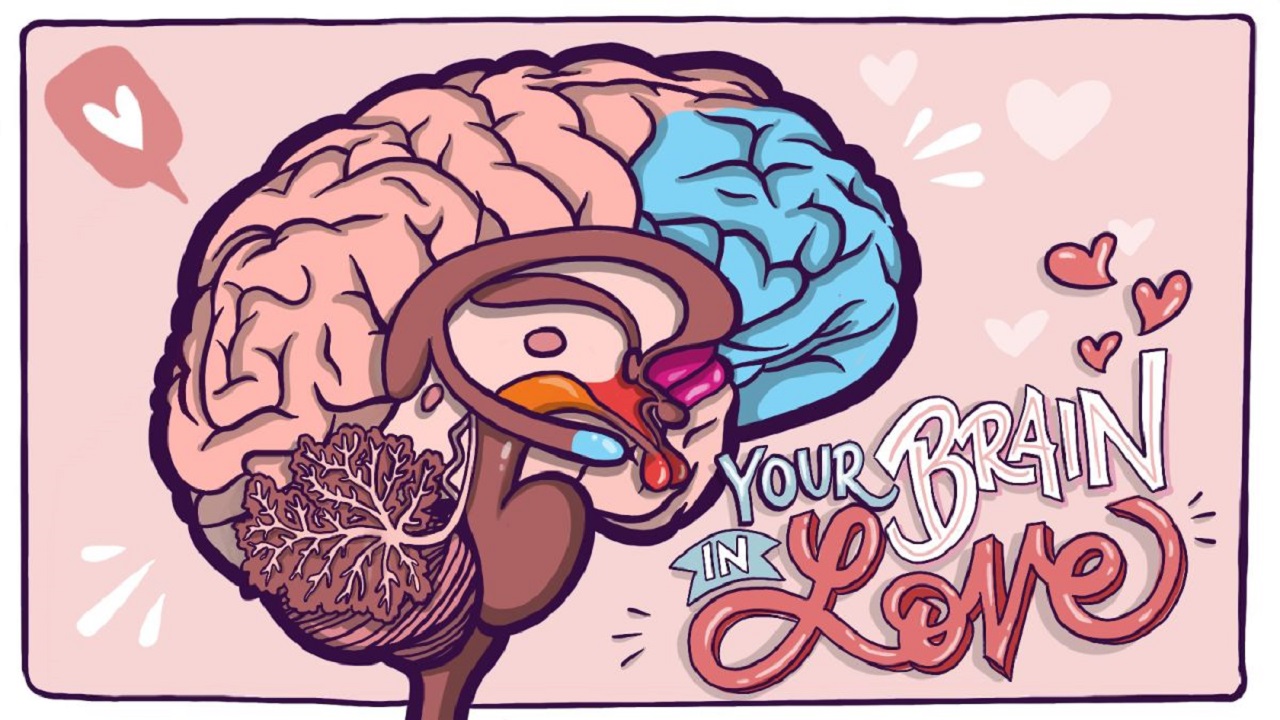 aşk beyni nasıl etkiliyor?