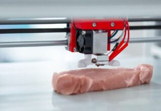 Dünyada İlk Kez Biyo 3D Yazıcı Kullanılarak Pirzola Üretildi