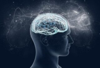 IQ Seviyesini Artırmak İsteyenler Doluşsun: Beyindeki ‘Gri Madde’ Nasıl Artırılır?