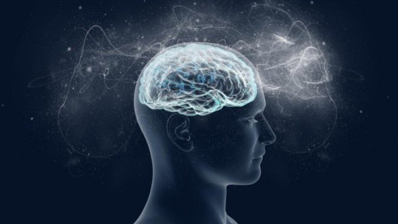IQ Seviyesini Artırmak İsteyenler Doluşsun: Beyindeki 'Gri Madde' Nasıl Artırılır?