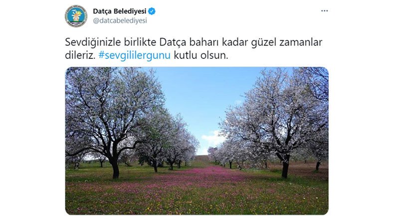 Datça Belediyesi, Bir Tweetini NFT Olarak Satışa Çıkardı: Geliri İhtiyaç Sahibi Kız Öğrencilere Bağışlanacak