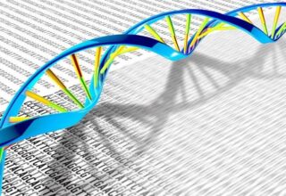 İnsanların Genetik Çeşitliliğini Daha İyi Açıklayacak 64 Yeni Genom Sıralandı