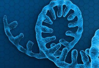 Biyoloji Kitaplarını Sil Baştan Yazdıracak Keşif: Yaşamın Temeli DNA ve RNA’ya Değil, XNA’ya Dayanıyor