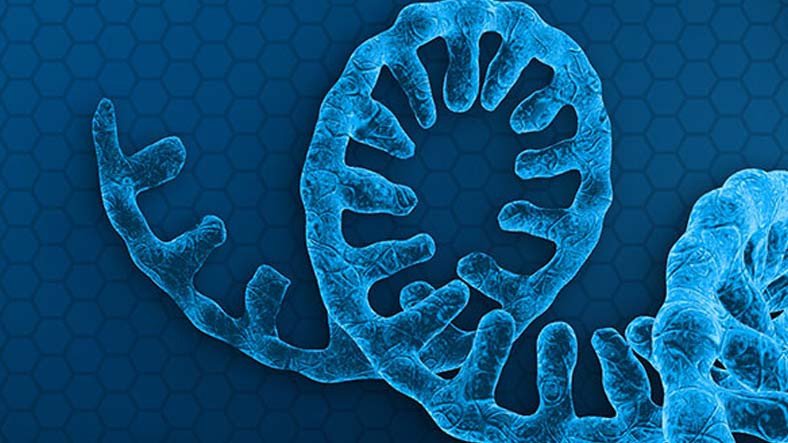 Biyoloji Kitaplarını Sil Baştan Yazdıracak Keşif: Yaşamın Temeli DNA ve RNA'ya Değil, XNA'ya Dayanıyor