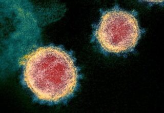 Brezilya’da Koronavirüsün 18 Farklı Mutasyonunun Birleşimi Olan Yeni Bir Tür Bulundu