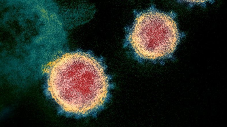 Brezilya'da Koronavirüsün 18 Farklı Mutasyonunun Birleşimi Olan Yeni Bir Tür Bulundu