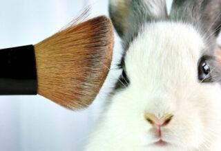 Sosyal Medyada Çok Konuşulan Acımasız Deneylerin Kurbanı ‘Tavşan Ralph’: Hayvan Deneyleri Neden Çok Önemli?