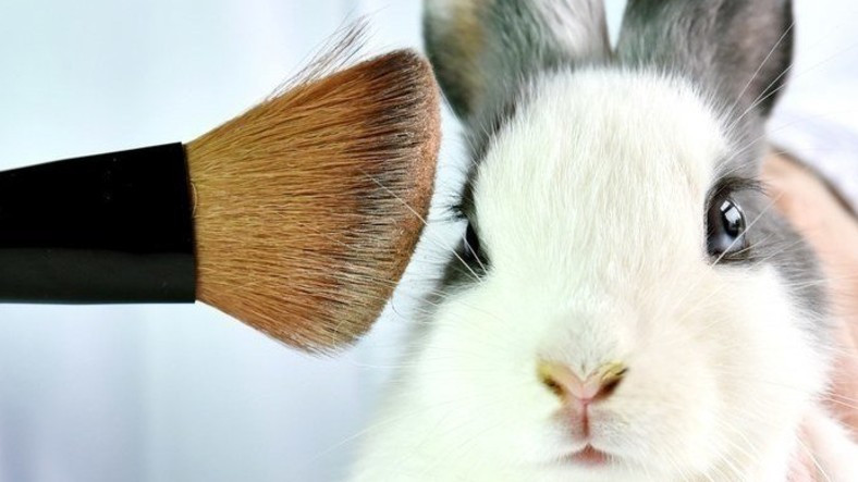 Sosyal Medyada Çok Konuşulan Acımasız Deneylerin Kurbanı 'Tavşan Ralph': Hayvan Deneyleri Neden Çok Önemli?