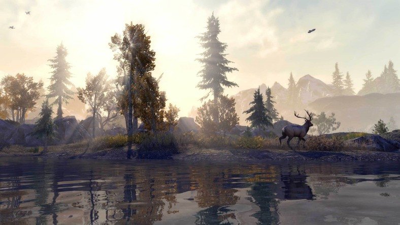 The Elder Scrolls Online, PlayStation 5 ve Xbox Series X'e Geliyor: İşte Çıkış Tarihi