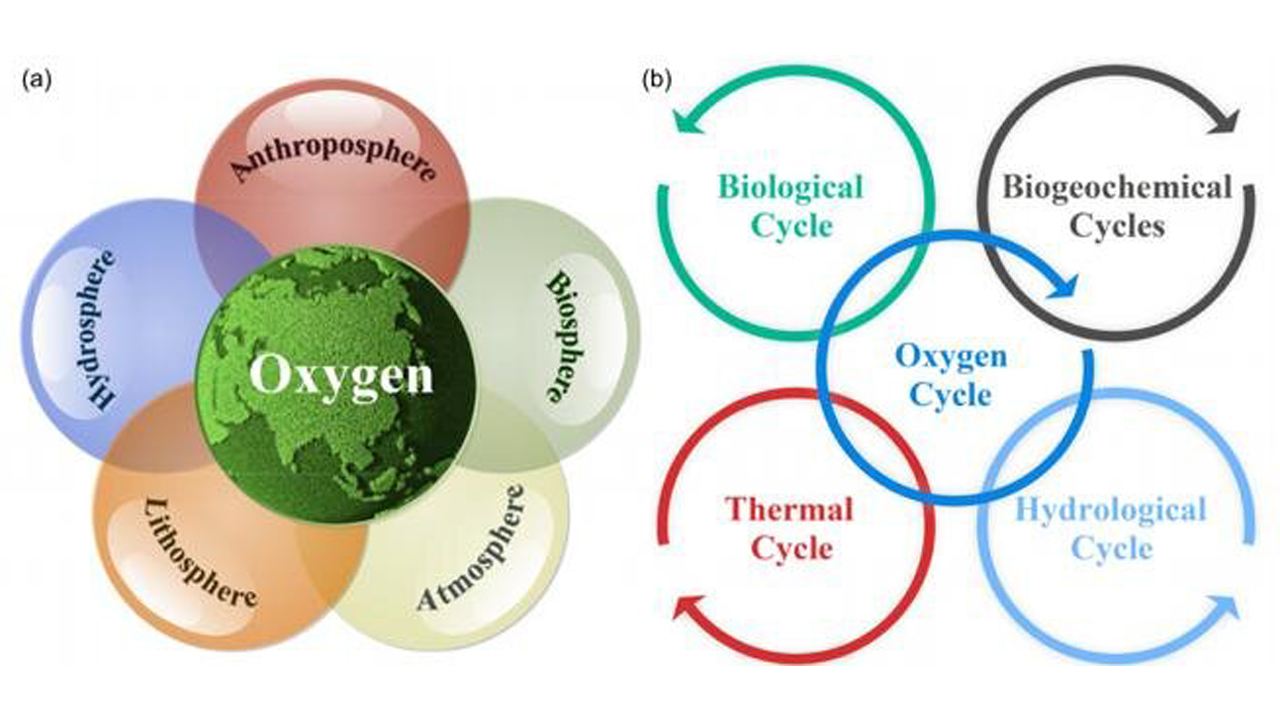 Yer sistem bilimlerinde oksijen döngüsünün durumu (a) ve diğer biyojeokimyasal döngülerle ilişkisi (b)