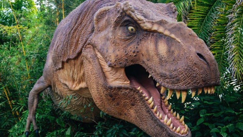 Yeni Bir Araştırmaya Göre Dünya Üzerinde Toplamda 2,5 Milyar T-Rex Yaşamış