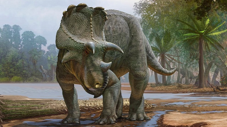 82 Milyon Yıl Önce Yaşamış Yeni Bir Boynuzlu Dinozor Türü Keşfedildi