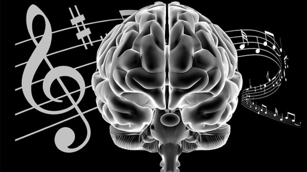 müzik ve beyin