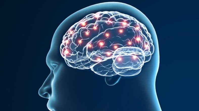 Bilim İnsanları, İnsan Beyninde Hareket Eden Bir 'Düşünceyi' Takip Ettiler [Video]