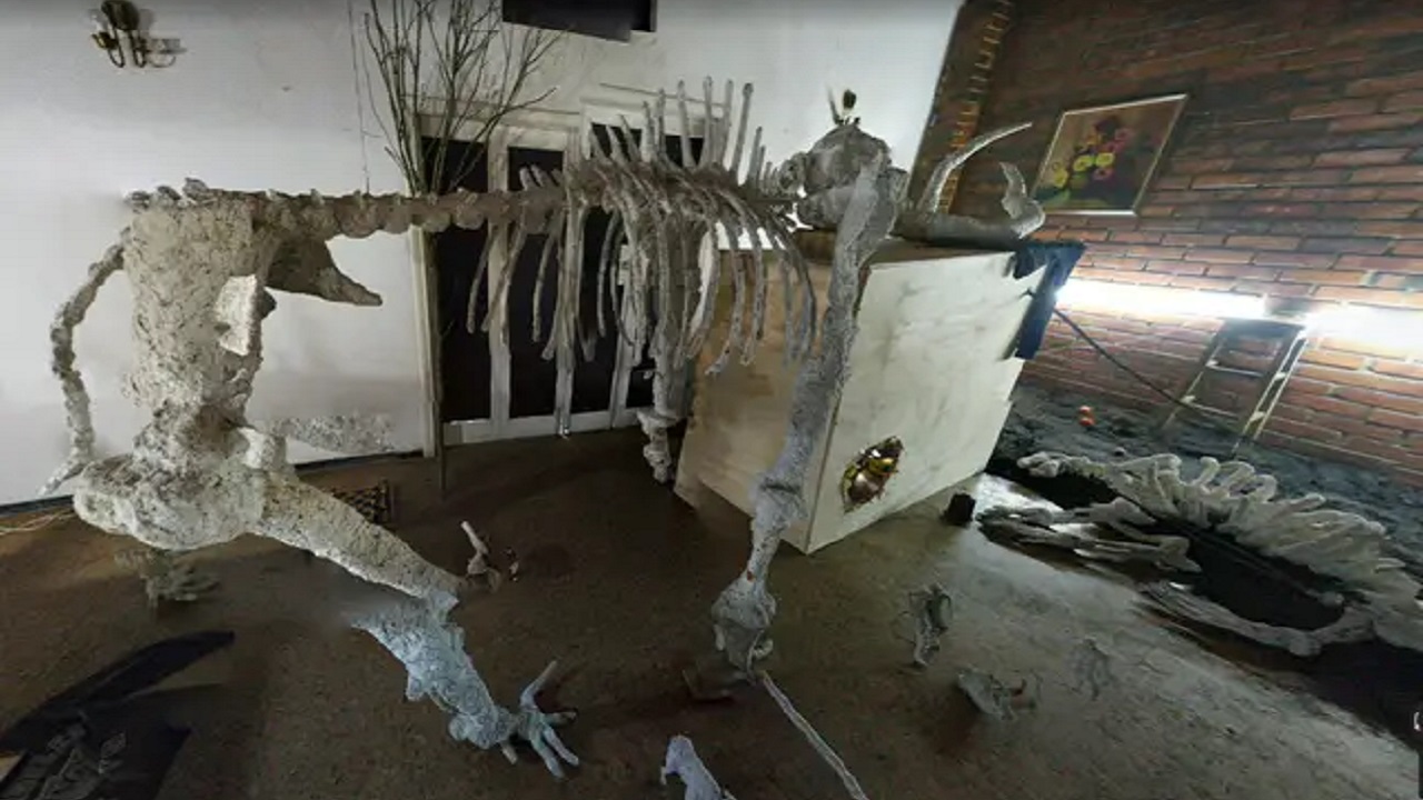 İçinde Dinozor iskeleti olan oda