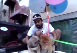 Hindistan’da Köpeğini Helyum Balonlarla Uçuran YouTuber Tutuklandı