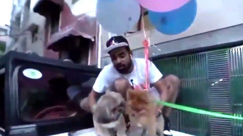 Hindistan'da Köpeğini Helyum Balonlarla Uçuran YouTuber Tutuklandı