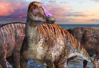 İki Ayaklıdan Dört Ayaklıya Evrime İşaret Eden Yeni Bir Dinozor Türü Keşfedildi