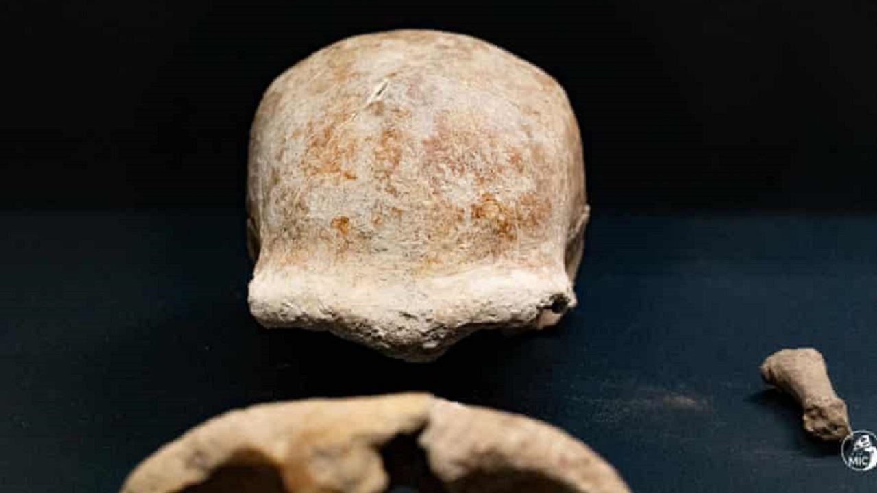 neandertal fosili