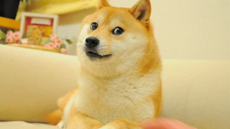 9GAG’in Unutulmaz ‘Meme’i Doge, 4 Milyon Dolara Satılarak NFT Rekoru Kırdı