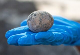 Arkeologlar, Bin Yıldır Bozulmamış Tavuk Yumurtası Buldu: Yumurta ‘Yanlışlıkla’ Kırıldı