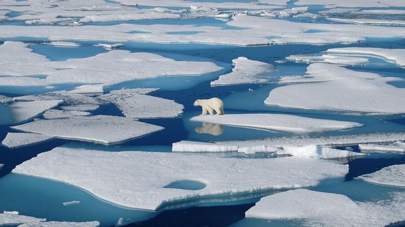 Arktik Denizi'ni Kaplayan Buz Tabakasının Bilinenden 2 Kat Hızlı Eridiği Tespit Edildi