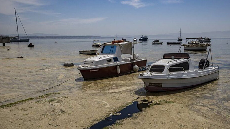 BBC, Müsilajın Ele Geçirdiği Marmara Denizi'nin Dibini Görüntüledi: İzleyecekleriniz Endişe Verici [Video]