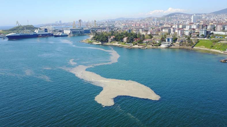 Bilim İnsanları, Marmara Denizi'ndeki Müsilaj Sorununu Ortadan Kaldıracak Bir Çözüm Üretti