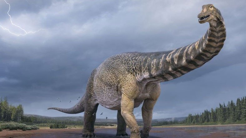 Dünya Üzerinde Yaşamış En Büyük Dinozor Türlerinden Biri Keşfedildi