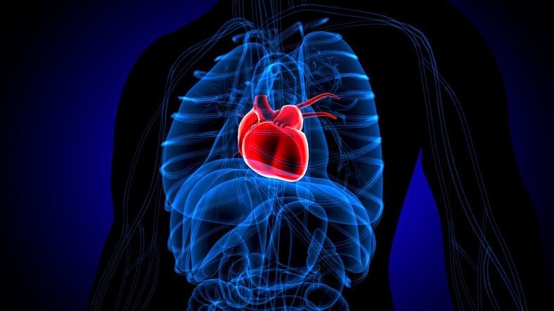 İnsanların Aşırı Üzüntüden Ölmesine Yol Açan 'Kırık Kalp Sendromu'na Neyin Sebep Olduğu Açıklandı