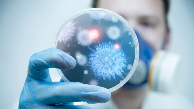 Koronavirüs Tedbirleri, 2 Farklı Grip Virüsünü Tamamen Yok Etmiş Olabilir