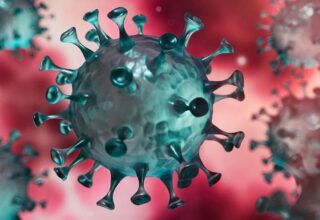 Koronavirüsün, HIV Pozitif Bir Kadında Tam 32 Kez Mutasyona Uğradığı Tespit Edildi