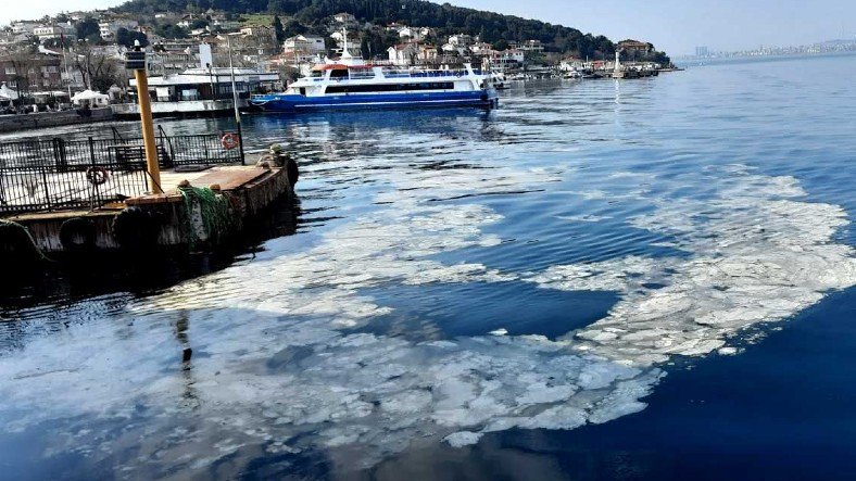Marmara Denizi’ni Kaplayan Deniz Salyası, Uzmanlara Göre Kolera Salgını Başlatabilir
