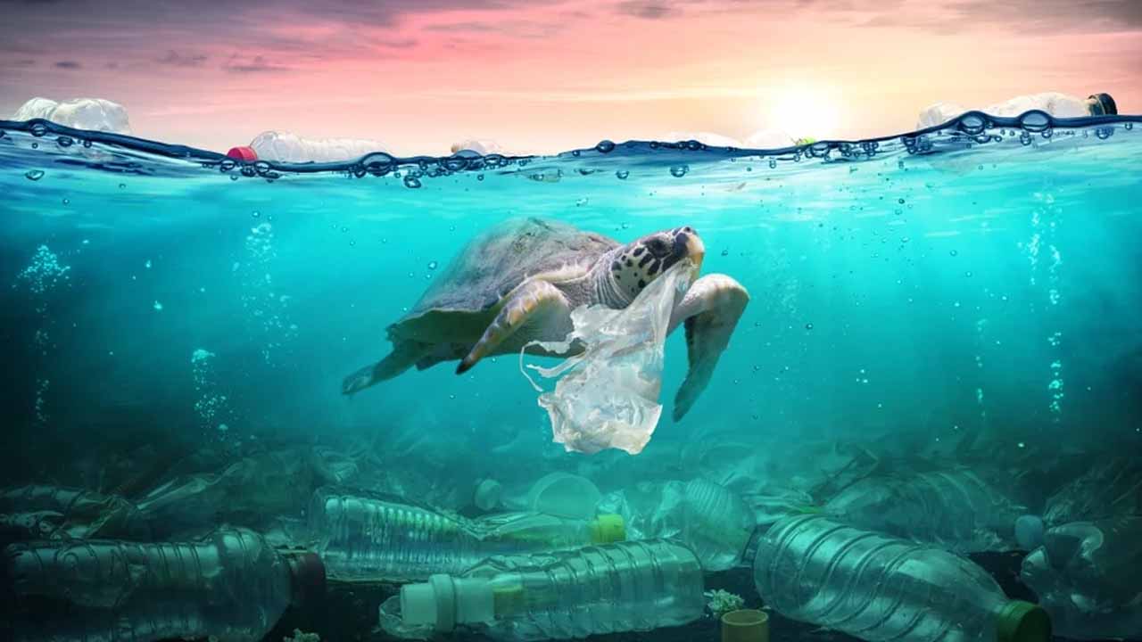 Okyanuslara atılan çöpler