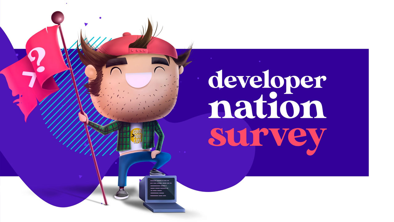 developer nation survey