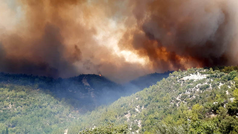 Orman Bakanı'ndan Ciğerleri Dağlayan Açıklama: 31 Orman Yangın Kontrol Altında, 10 Tane Daha Var