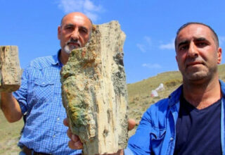 Erzurum’da İlk Günkü Halini Koruyan 160 Milyon Yıllık Ağaç Fosilleri Bulundu