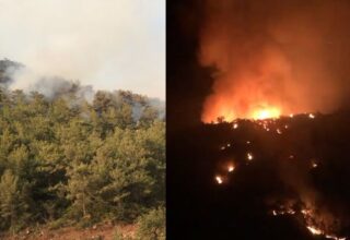 Muğla’da Vatandaşların Gün Boyu Söndürmeye Çalıştıkları Küçük Bir Yangın, Bütün Tepeyi Sardı: Bir Tane Helikopter ve Uçak Müdahale Etmedi
