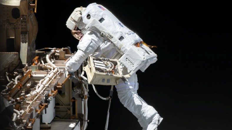 NASA'nın Uzay Yürüyüşü, Astronot Hastalandığı İçin Ertelendi