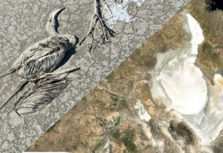 Tuz Gölü’ndeki Kuraklık Uydu Görüntülerinde: Önlem Alınmazsa Bölge 10 Yıllar İçinde Çölleşebilir